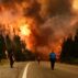 People walking on a road as a wildfire blazes behind them in Argentina, January 2026. Credit: Associated Press / Alamy Stock Photo.