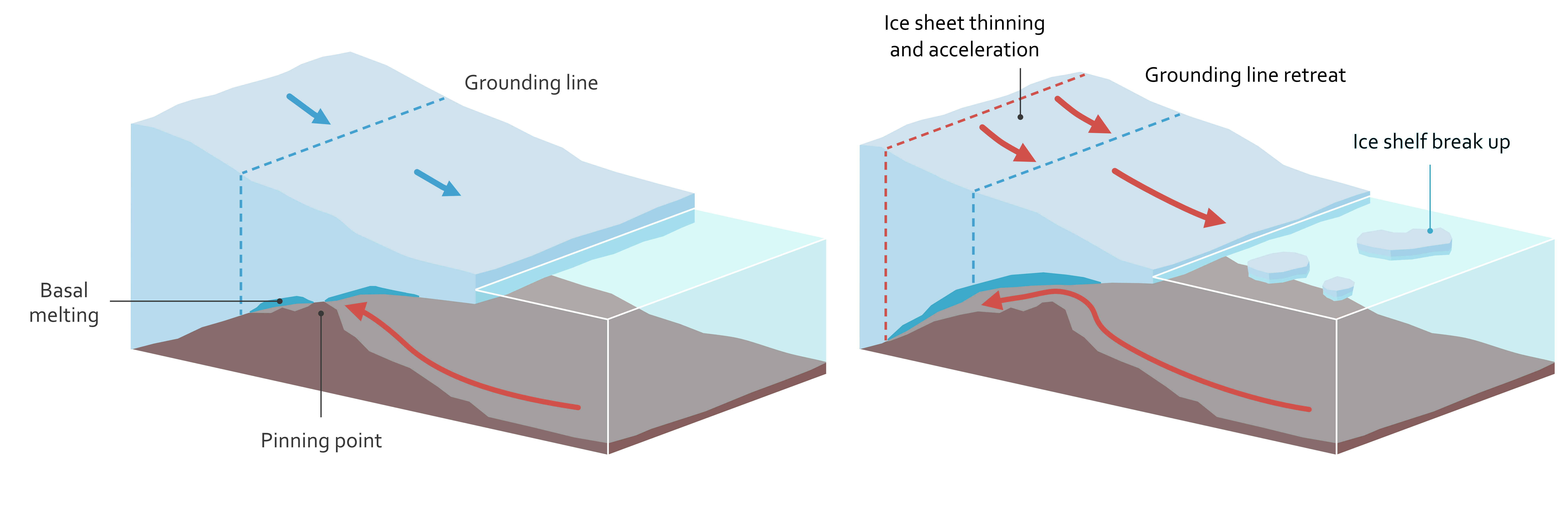 Illustration of an Antarctic ice shelf. On the left, the ice is being held in place by a “pinning point” – a bump in the bedrock which temporarily acts as an anchor.