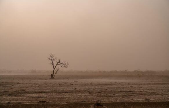 Dry farmland, Australia.
