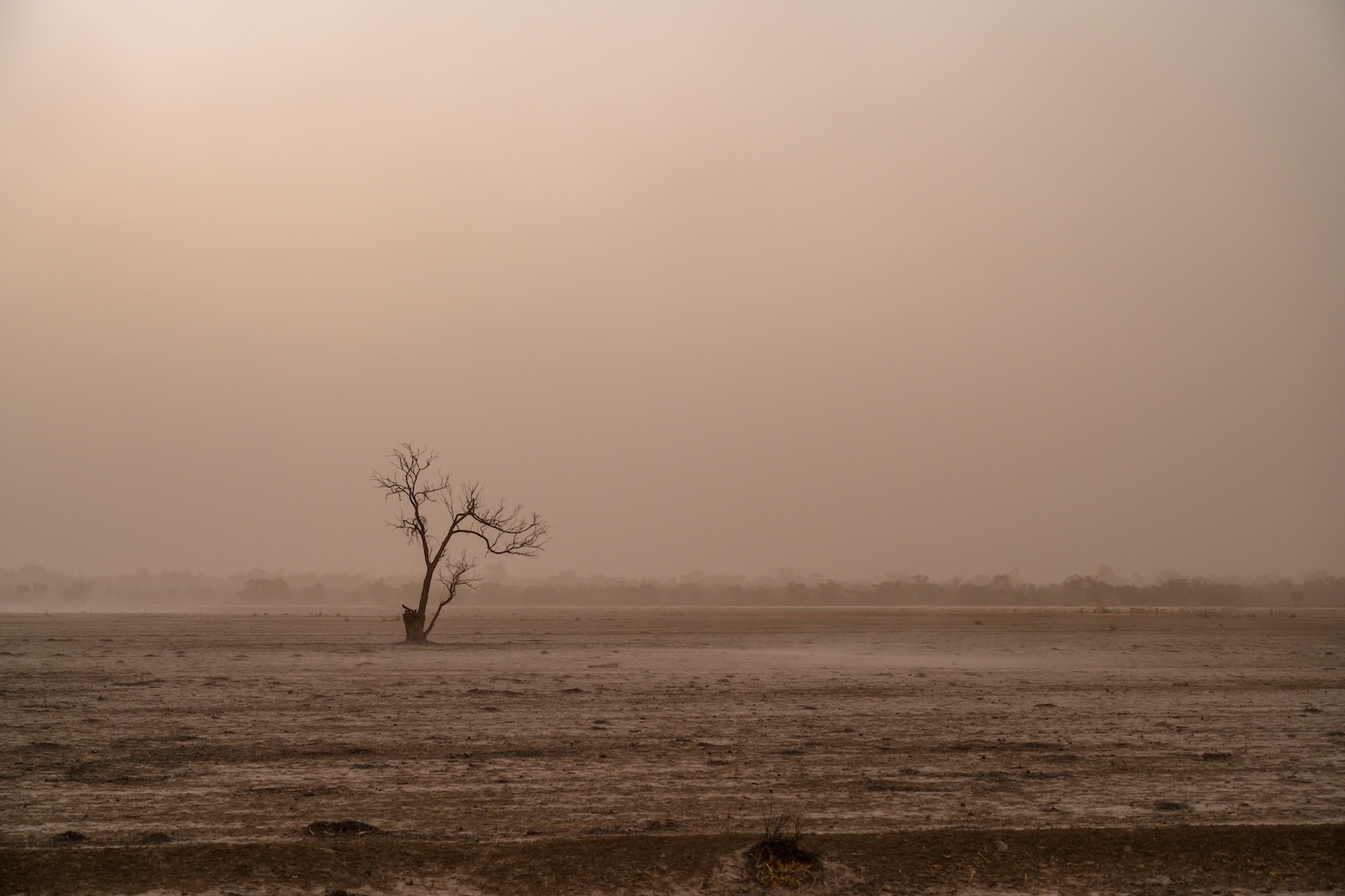 Heatwaves driving recent ‘surge’ in compound drought and heat extremes