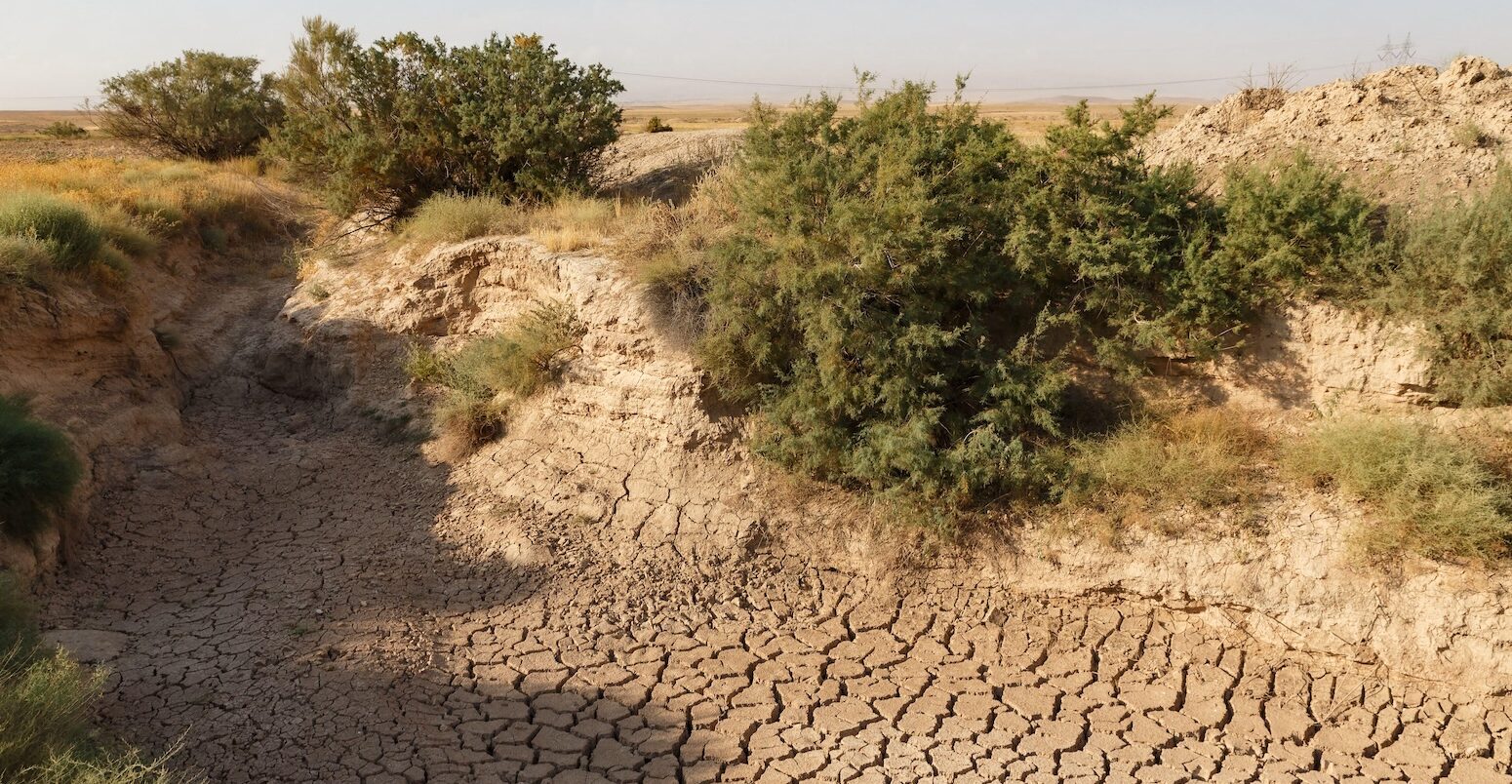 A cracked riverbed stretches across parched earth.