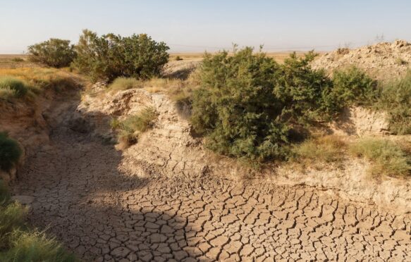 A cracked riverbed stretches across parched earth.