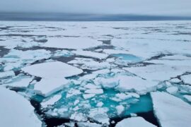 Fields of Arctic sea ice in Svalbard, Norway. Credit: iralgo74 / Alamy Stock Photo.