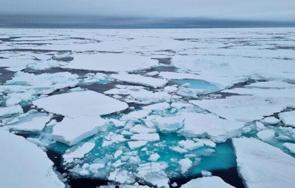 Fields of Arctic sea ice in Svalbard, Norway. Credit: iralgo74 / Alamy Stock Photo.
