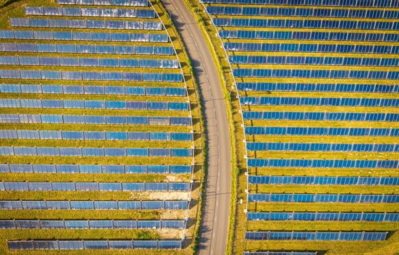 Aerial view of a solar farm.