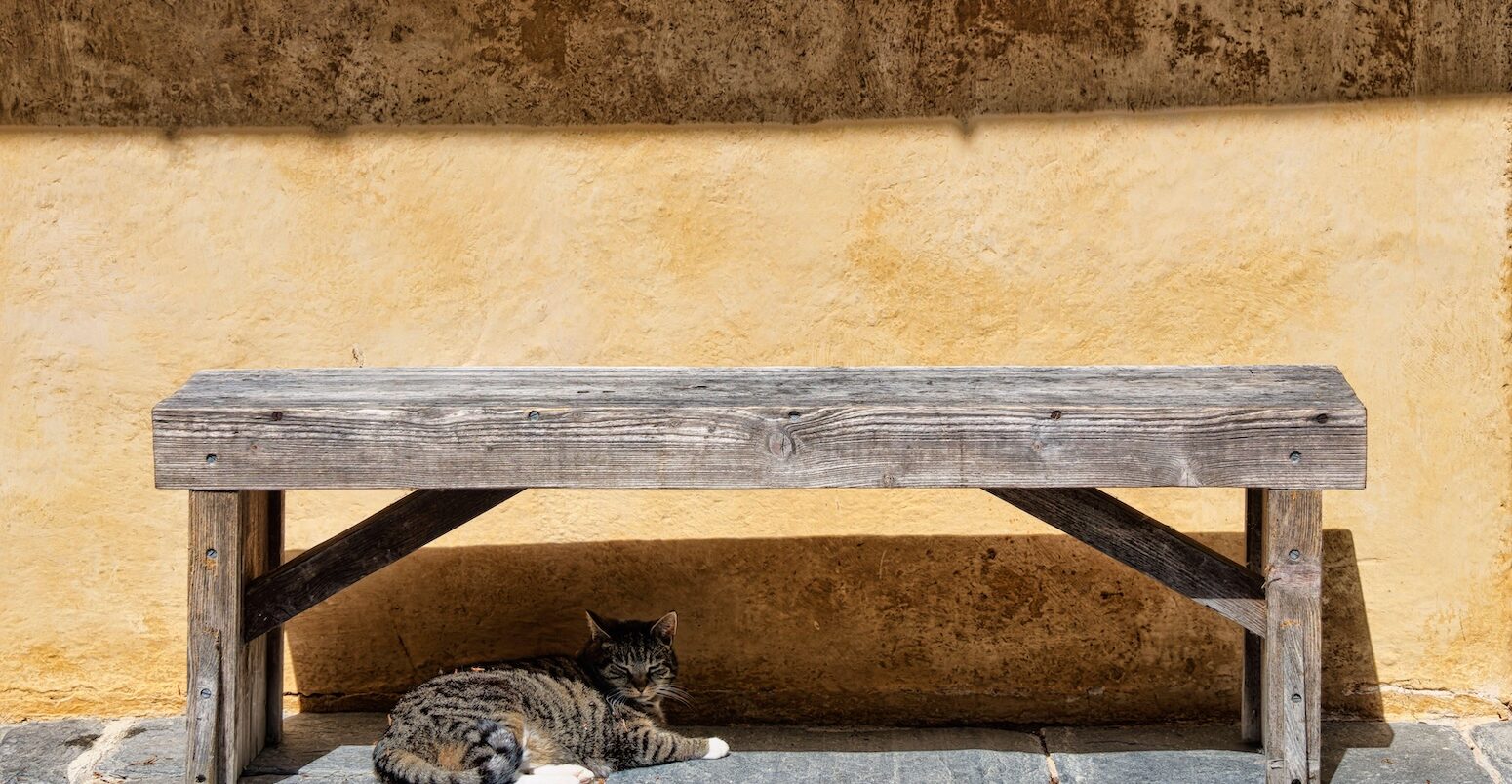 A cat resting in the shade under a bench.