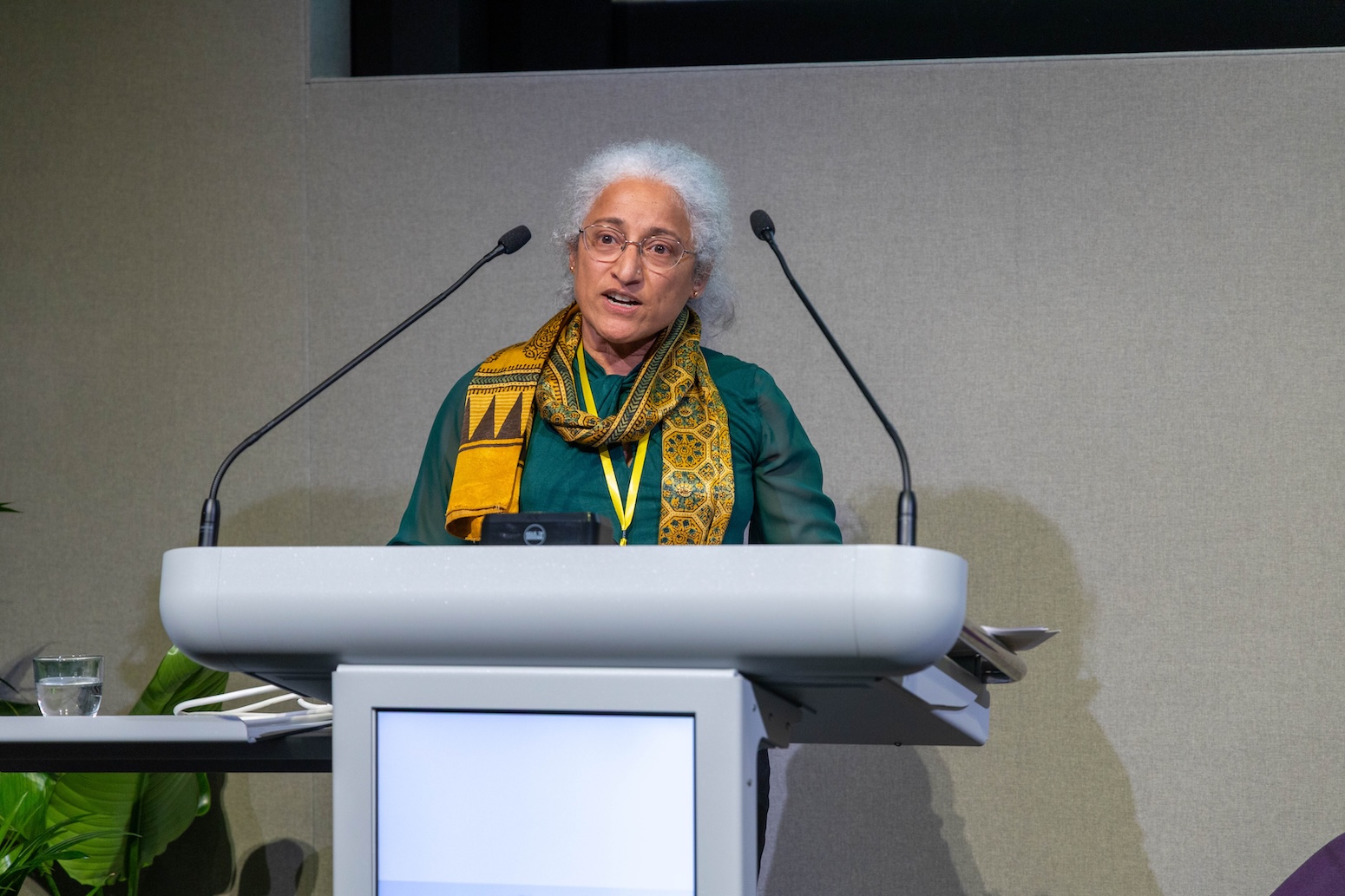 Prof Nitya Rao addressing conference attendees.