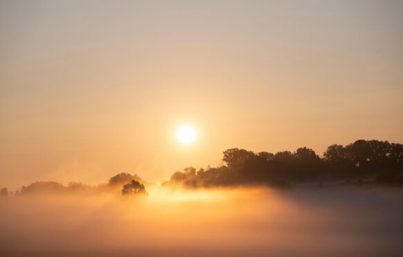 Foggy sunrise in North America.