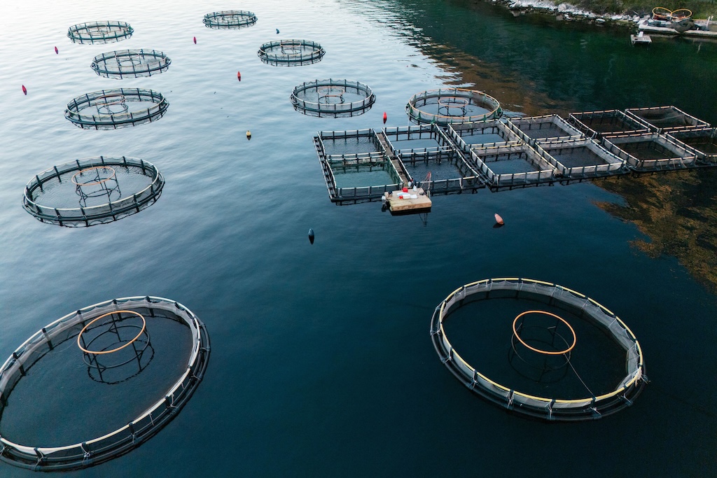 Aerial view of a fish farm.