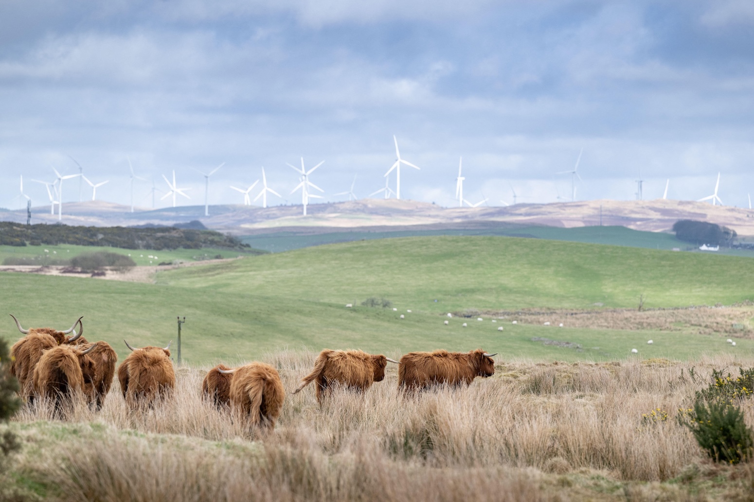 Q&A: How UK’s seventh carbon budget will deliver '£865bn’ in economic benefits - Carbon Brief