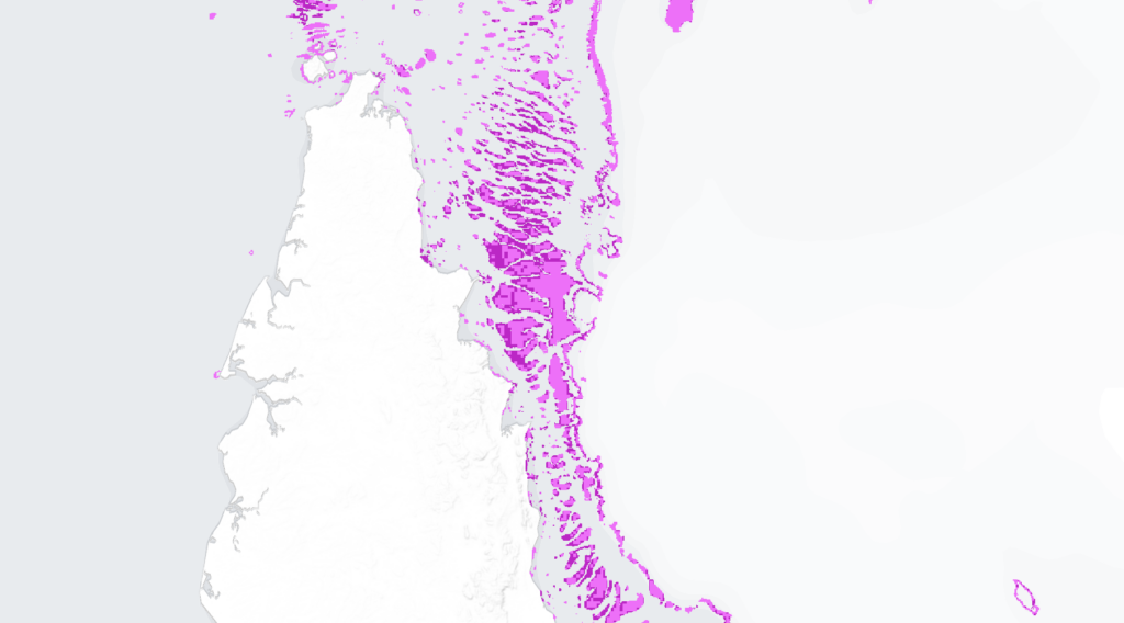 Cropped 17 June 2026: Coral reef ‘hope’ | Ocean talks | Plant flowering times ‘shift’