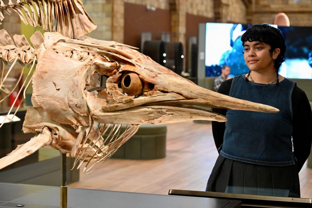 Natural History Museum’s Fixing Our Broken Planet exhibition.