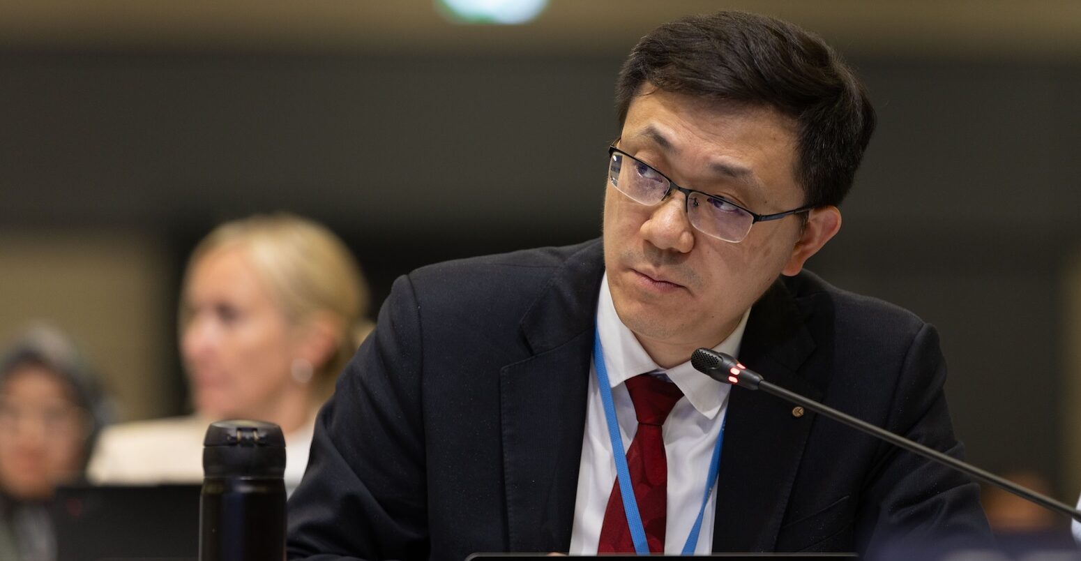 Liang Pei, China, on behalf of the Like-Minded Developing Countries (LMDCs)