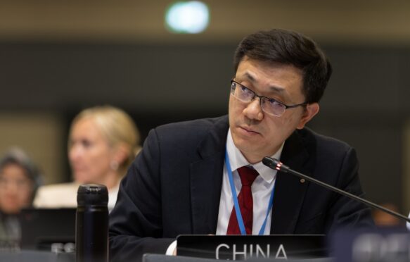 Liang Pei, China, on behalf of the Like-Minded Developing Countries (LMDCs)