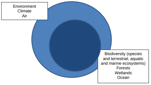 Distinction between the “environment” and “biodiversity”, according to an oft-cited working paper on identifying and assessing biodiversity-harming subsidies. Credit: OECD (2022)