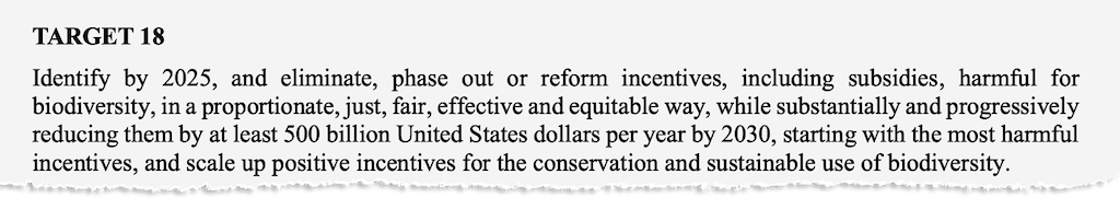 Target 18 of the Global Biodiversity Framework. Credit: UN CBD (2022)