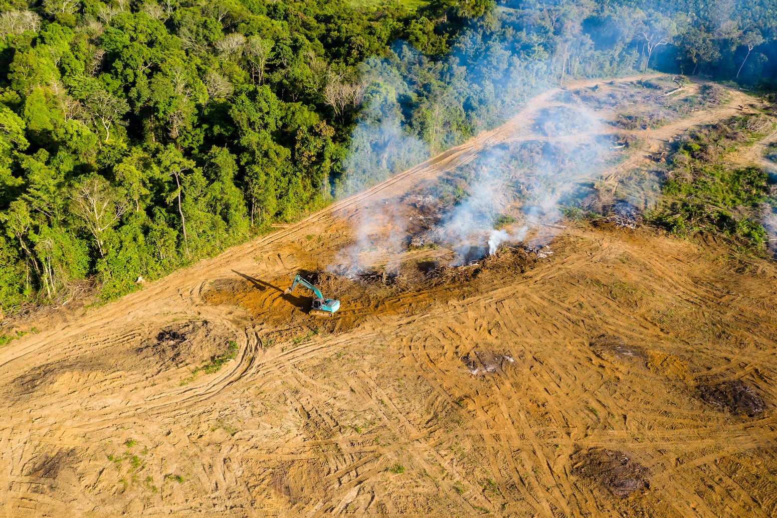Why land-use emissions have fallen by a third this century – in six charts Why land-use emissions have fallen by a third this century – in six charts