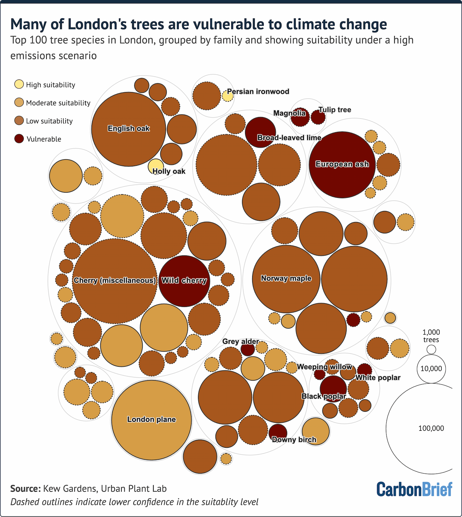 Bubble chart titled "many of London's trees are vulnerable to climate change" and subtitled "top 100 tree species in London, grouped by family and showing suitability under a high emissions scenario". Source: Kew Gardens, Urban Plant Lab. Chart by Carbon Brief.