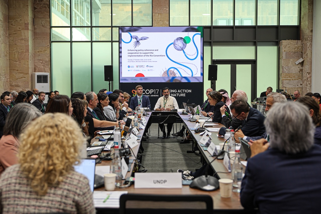 View of the room during an event on cooperation among the Rio Conventions.