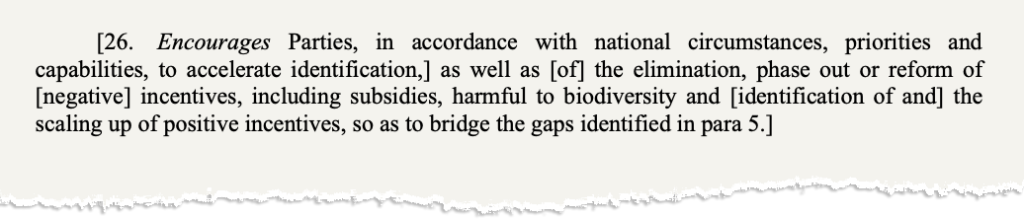 Bracketed text on subsidies from a 25 October non-paper on the global review. The text says: "[26. Encourages Parties, in accordance with national circumstances, priorities and capabilities, to accelerate identification,] as well as [of] the elimination, phase out or reform of [negative] incentives, including subsidies, harmful to biodiversity and [identification of and] the scaling up of positive incentives, so as to bridge the gaps identified in para 5.]"