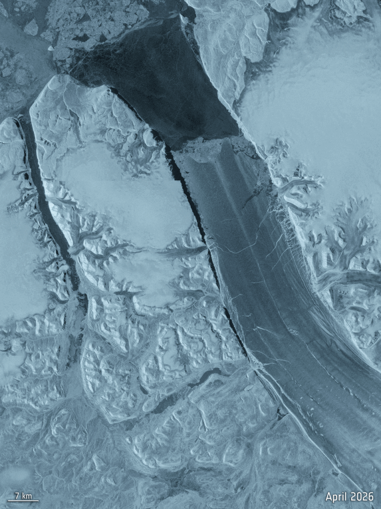 Sentinel-1 image sequence of the Petermann ice island, before and after the 4 August 2026 calving