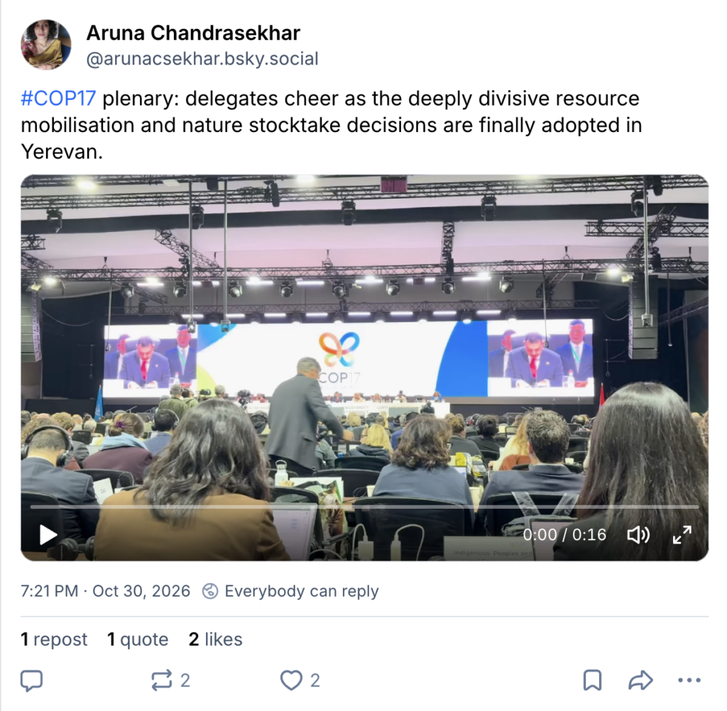 BlueSky post by Aruna Chandrasekhar (@arunacsekhar.bsky.social): "#COP17 plenary: delegates cheer as the deeply divisive resource mobilisation and nature stocktake decisions are finally adopted in Yerevan."