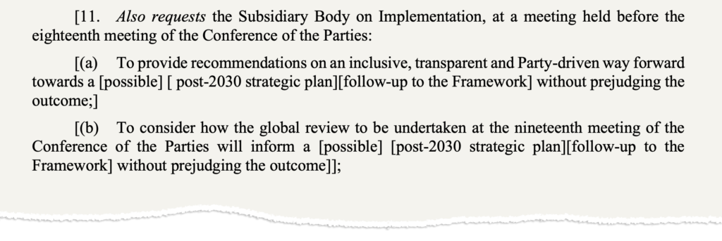 Text on post-2030 work submitted by the working group chair for plenary consideration. The text says: "[11. Also requests the Subsidiary Body on Implementation, at a meeting held before the eighteenth meeting of the Conference of the Parties: [(a) To provide recommendations on an inclusive, transparent and Party-driven way forward towards a [possible] [ post-2030 strategic plan][follow-up to the Framework] without prejudging the outcome;] [(b) To consider how the global review to be undertaken at the nineteenth meeting of the Conference of the Parties will inform a [possible] [post-2030 strategic plan][follow-up to the Framework] without prejudging the outcome]];"